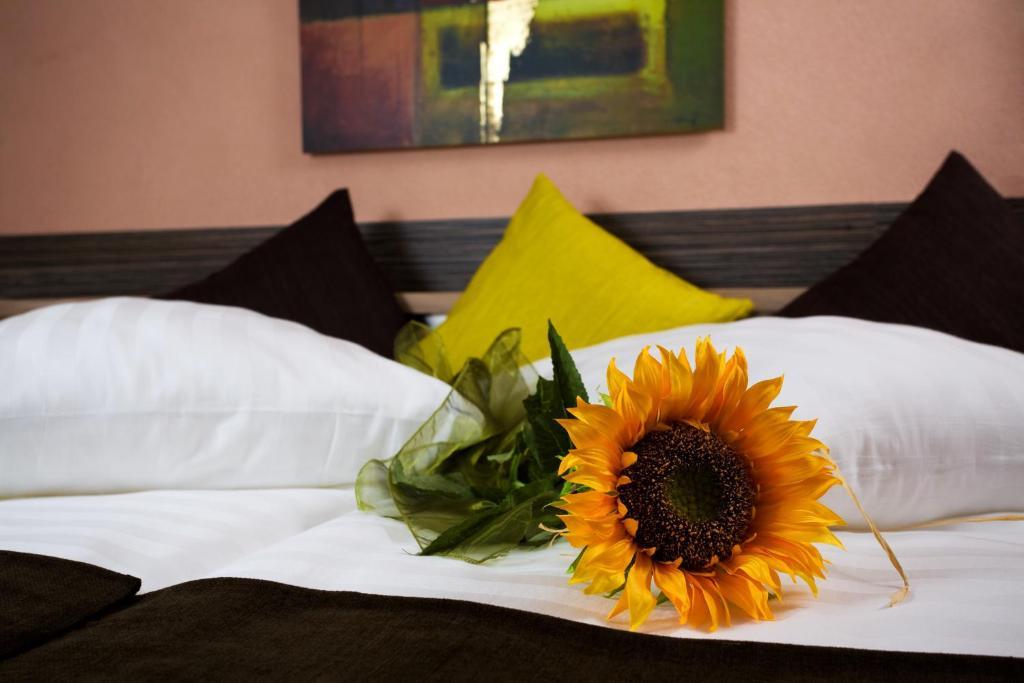 Hotel Relax Rajecké Teplice Rom bilde